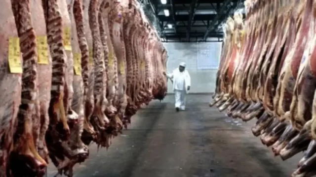 exportaciones carne 1210293