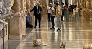 rompen esculturas vaticano