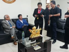 pedro castillo detenido