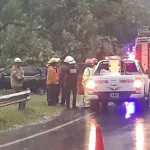 Un enorme árbol cayó sobre tres autos en la ruta que conduce a Tafí del Valle