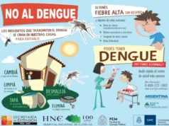 dengue cuidados