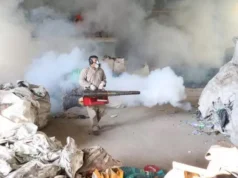 fumigación dengue