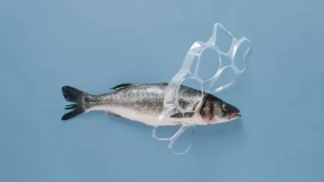 plastico en el oceano