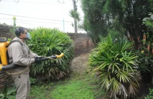 fumigacion