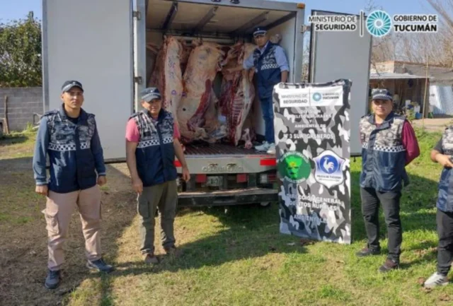 decomisados más de mil kilos de carne ilegalmente transportada