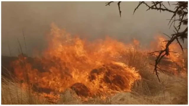 incendios-cordoba-21082023-1636574