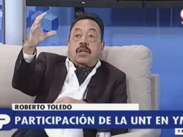 Roberto Toledo YMAD