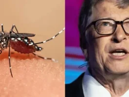 Bill Gates financia la lucha contra el dengue