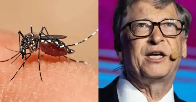 Bill Gates financia la lucha contra el dengue
