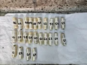 Mulas con cocaina