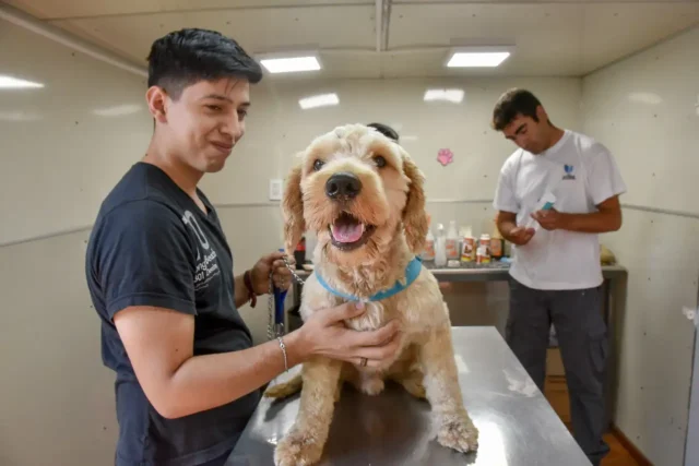 Atención veterinaria gratuita a vecinos transformed