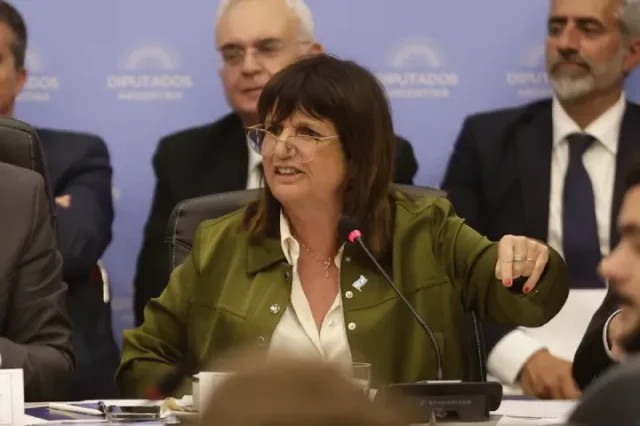 Bullrich en el congreso