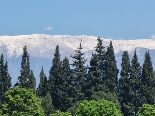 Cerros nevados