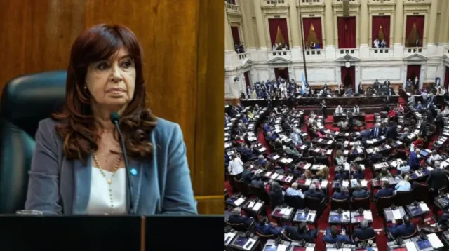 Cristina Kirchner y diputados