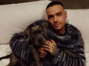 Liam Payne