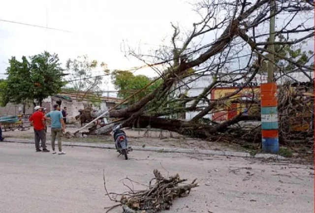 900x609 alerta naranja ocurrio ayer tardenoche afecto distintos ciudades sin consecuencias mayores santa ana hubo caida arboles fuertes vientos imagen defensa 1058031 082244