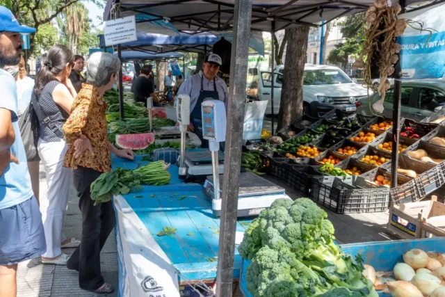 Mercado en tu Barrio 15 transformed