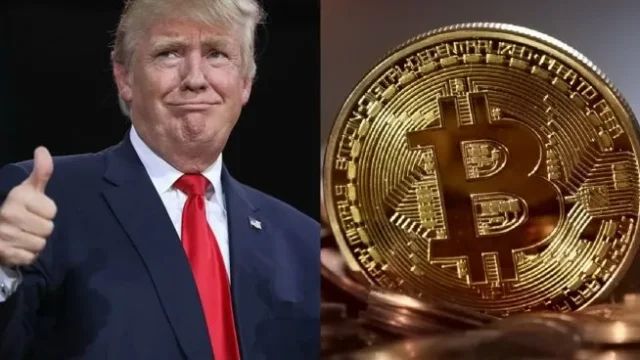 trump bitcoinjpeg