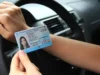 60390 autos licencias de conducir duraran mas 2