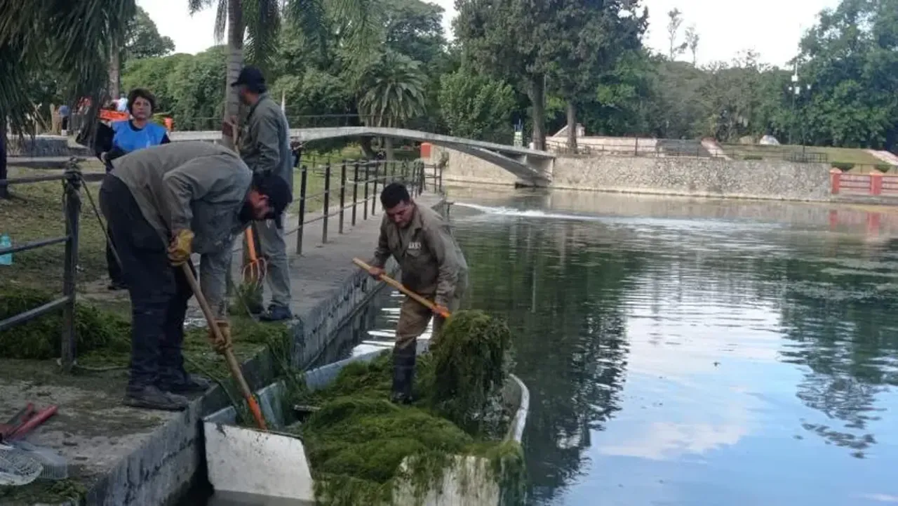 La gente hace uso y abuso analizan diferentes medidas de seguridad para proteger el parque 9 de Julio