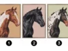 Test de personalidad elegi uno de los caballos y conoce cual es tu talento oculto