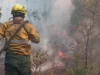 incendio forestal en el bolsón