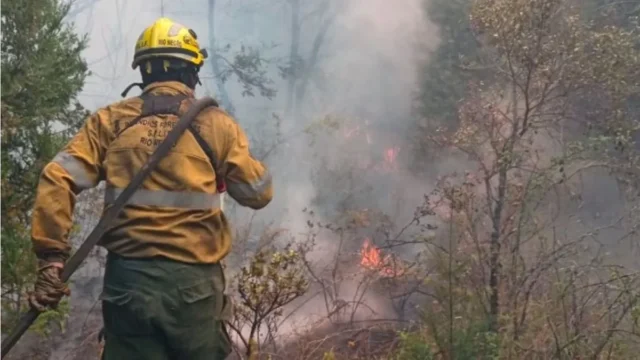 incendio forestal en el bolsón