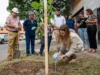 operativo de poda y forestación