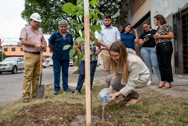 operativo de poda y forestación