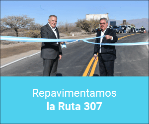 Ruta 307